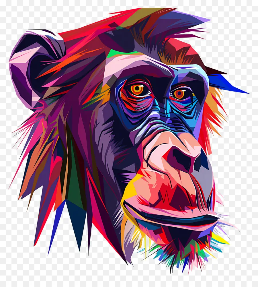 Cara De Babuino，Chimpancé PNG