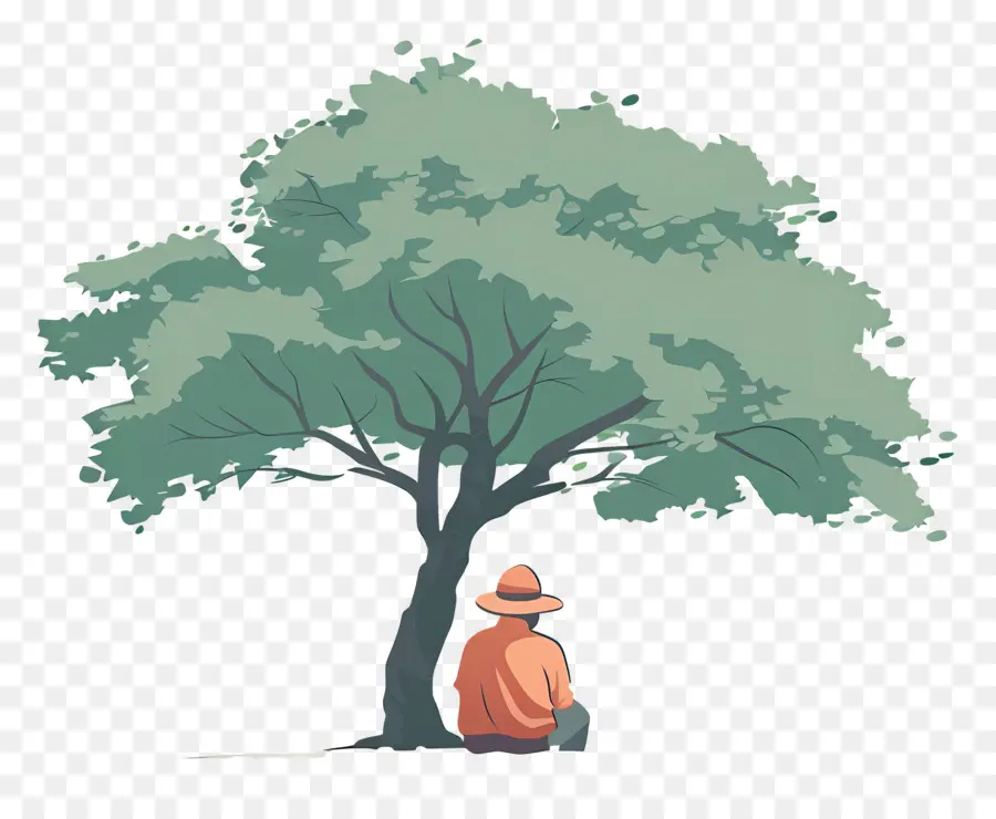 Viejo，Árbol PNG