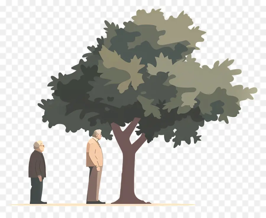 Viejo，Árbol PNG