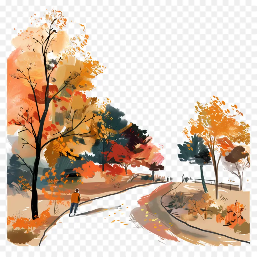 Parque De Otoño，árboles Coloridos PNG