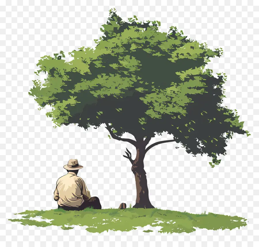 Viejo，Hombre Bajo El árbol PNG