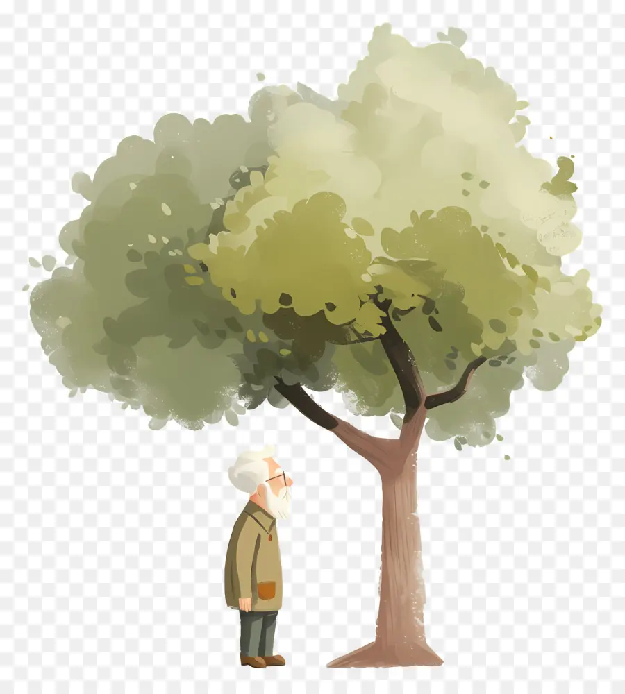 Viejo，Viejo Y árbol PNG