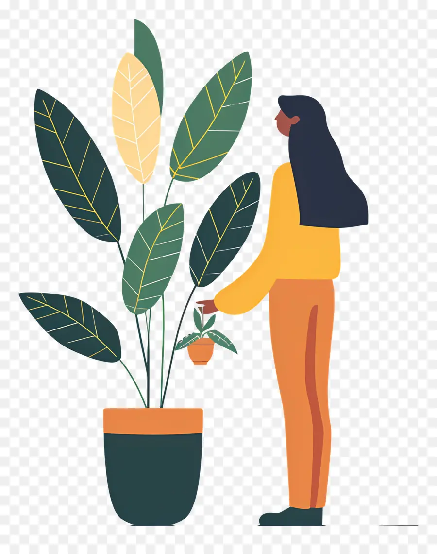 Chica Sujetando Planta De Interior，Persona Con Planta PNG