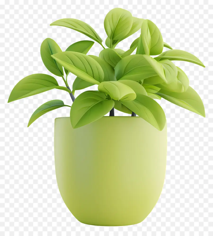 Planta En Maceta，Planta En Maceta Verde PNG