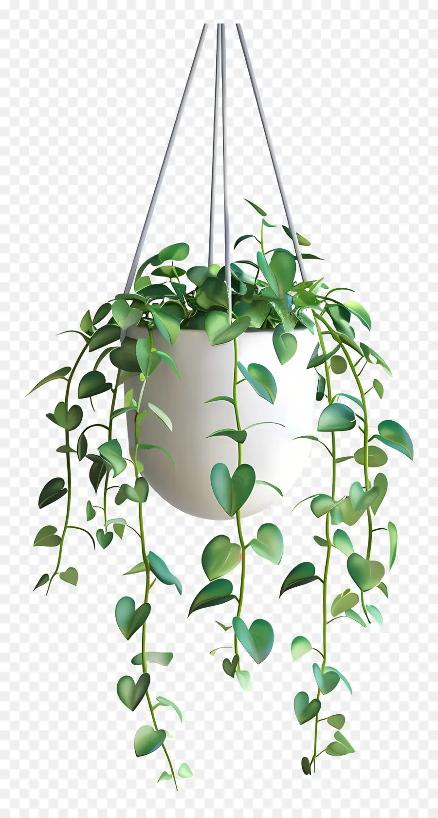 Planta Colgante，Hojas PNG