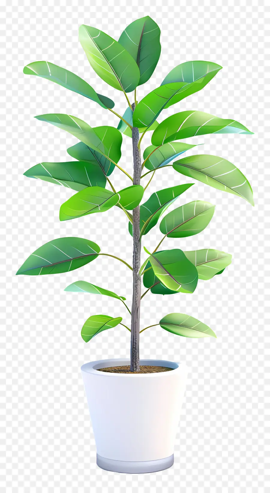 Planta En Maceta，Hojas PNG