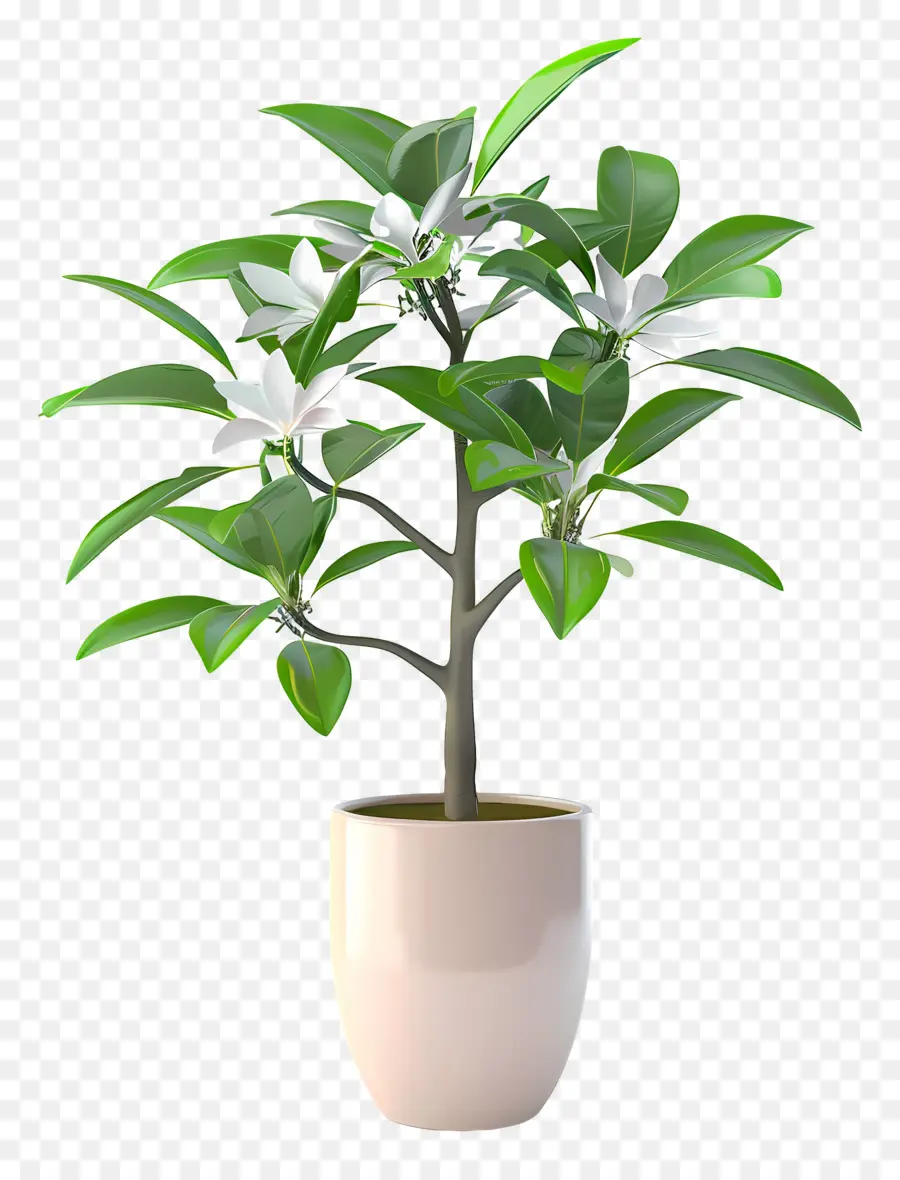 Planta Floreciente En Maceta，Planta En Maceta PNG