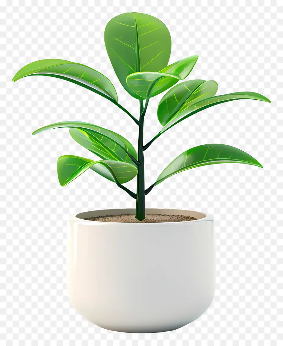 Planta En Maceta，Planta En Maceta Verde PNG