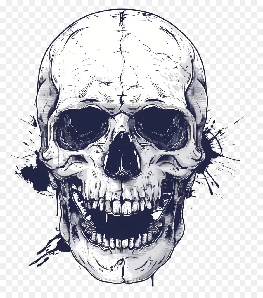 Calavera Espeluznante，Cráneo PNG