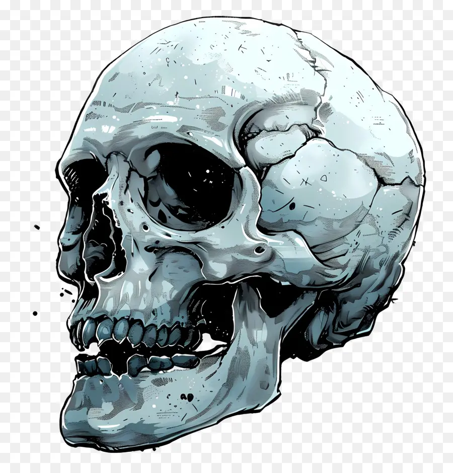 Calavera Espeluznante，Cráneo Agrietado PNG