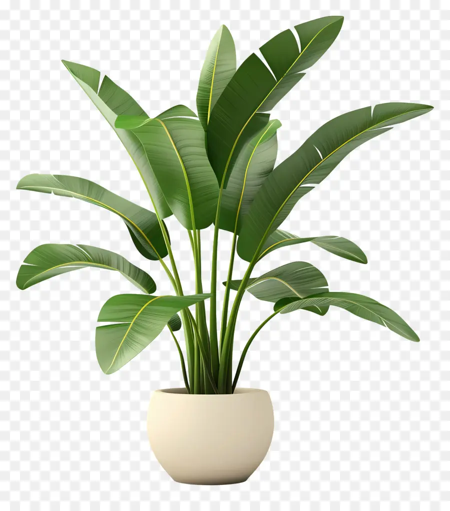 Planta Tropical En Maceta，Planta En Maceta Verde PNG