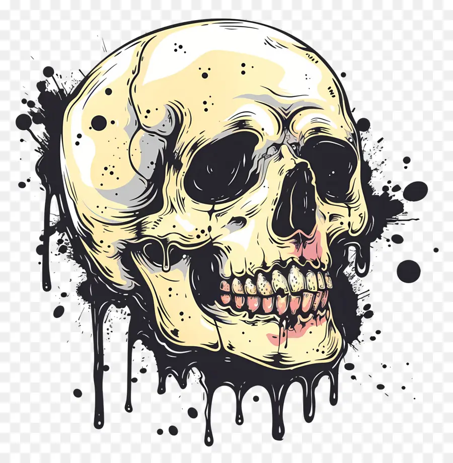 Calavera Espeluznante，Cráneo PNG