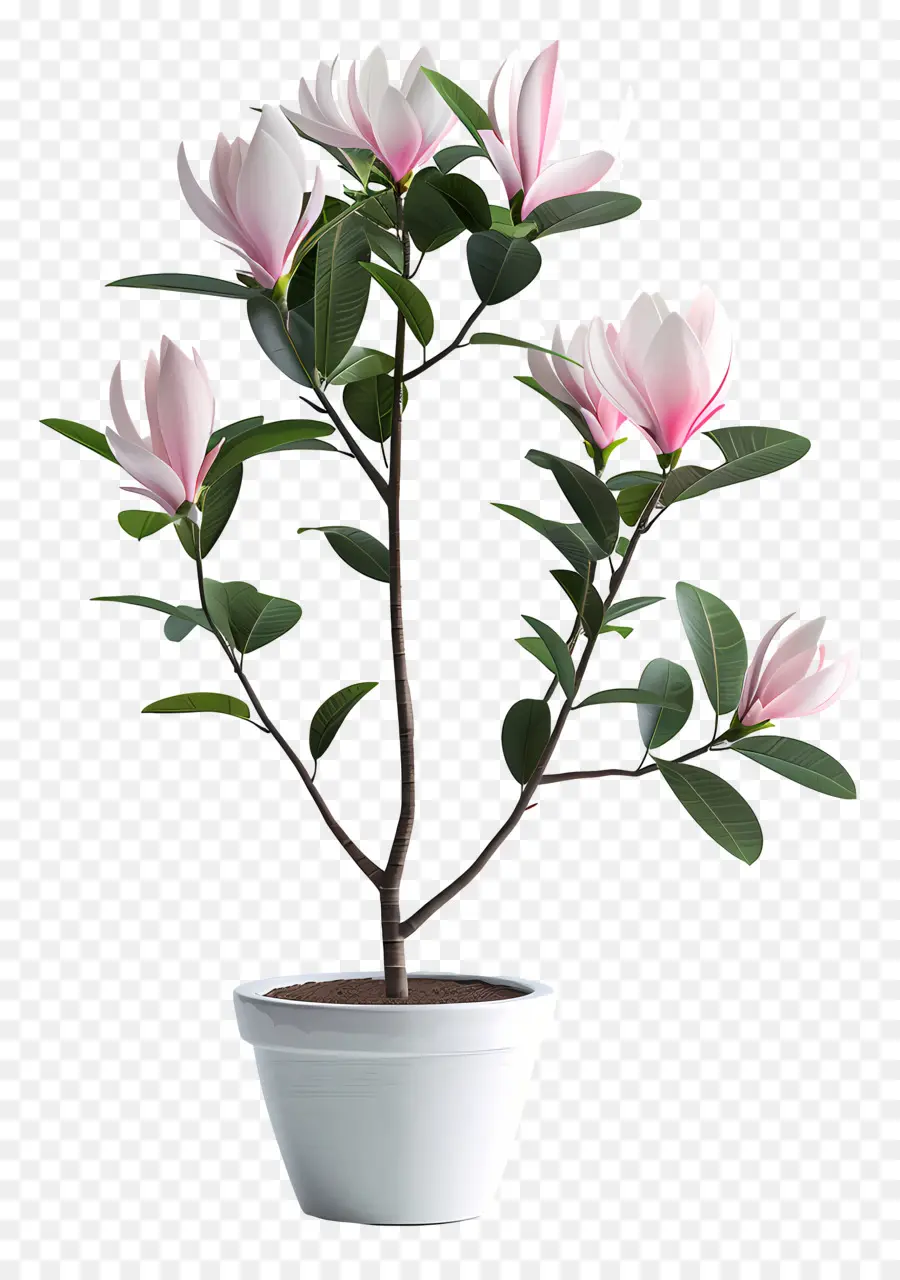 Planta Floreciente En Maceta，Planta En Maceta PNG