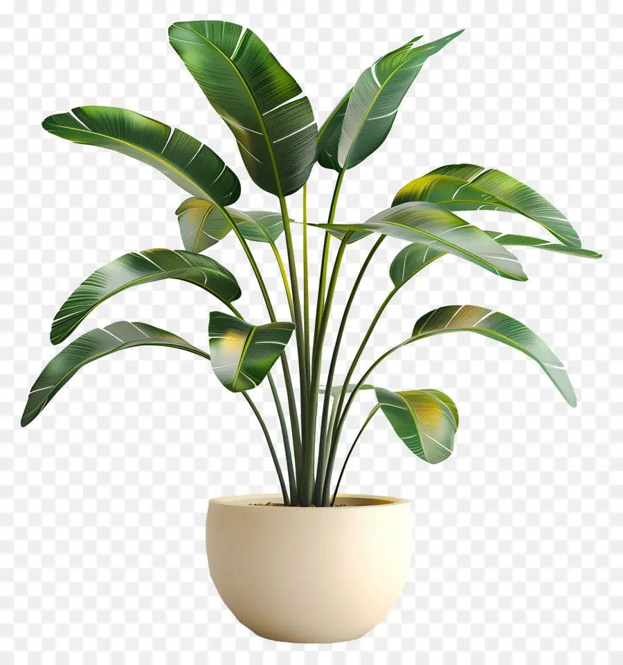 Planta Tropical En Maceta，Planta En Maceta PNG