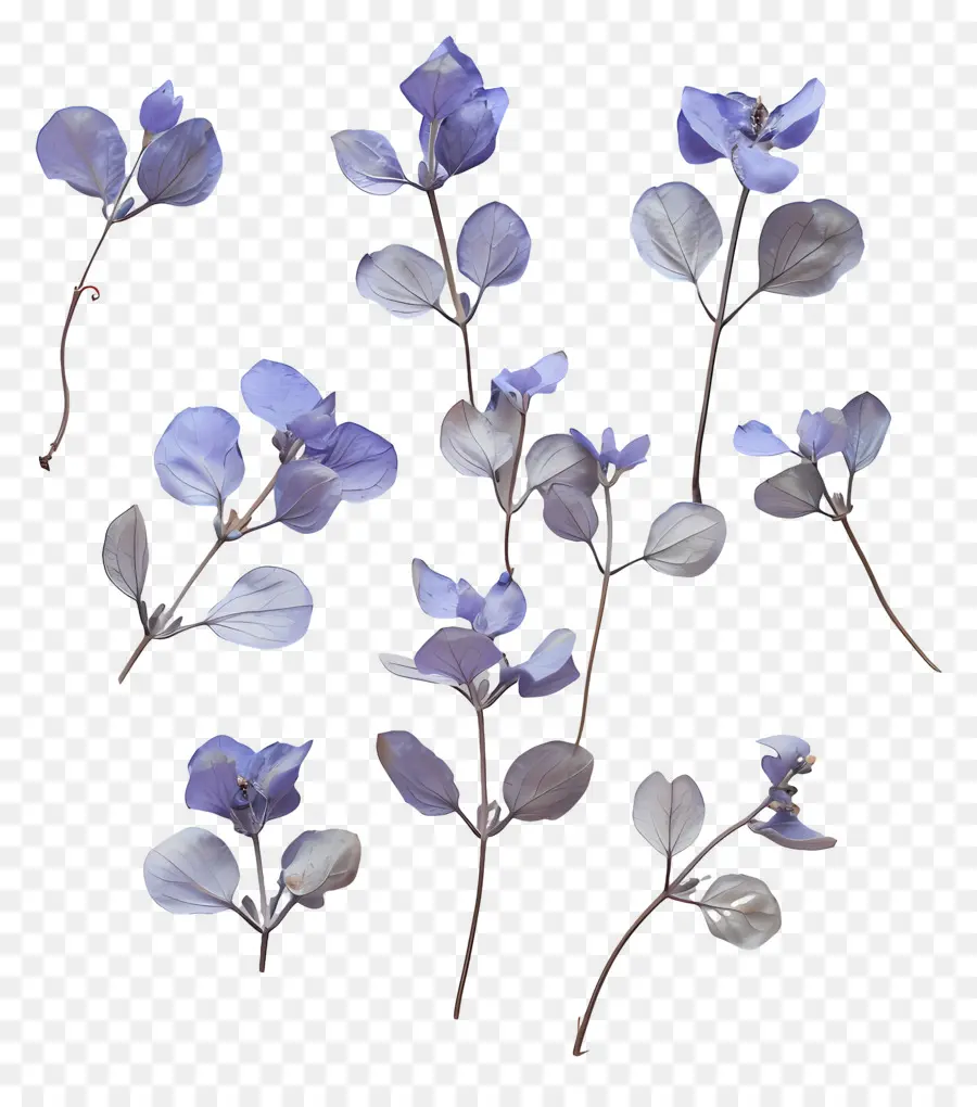 Pequeñas Hojas De Lavanda，Flores Moradas PNG