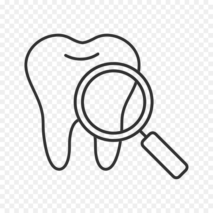 Revisión Dental，Diente Con Lupa PNG