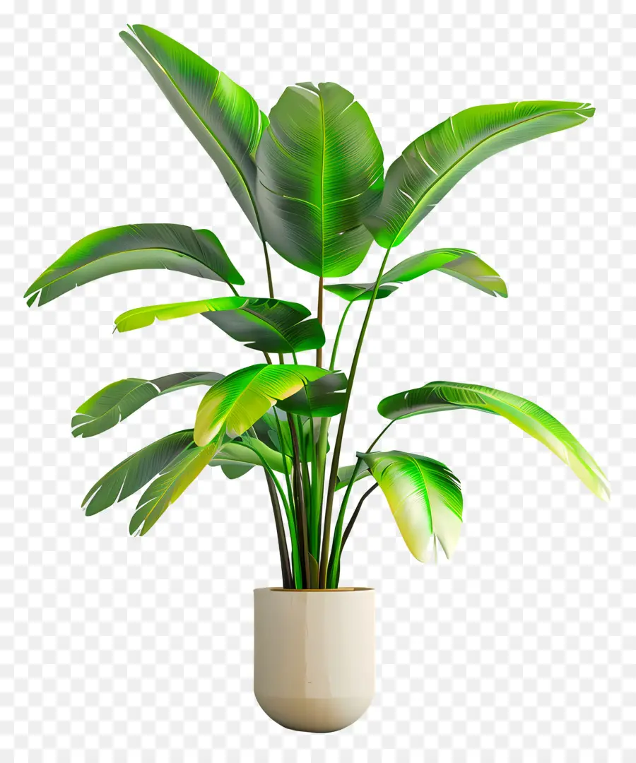 Planta Tropical En Maceta，Planta En Maceta Verde PNG