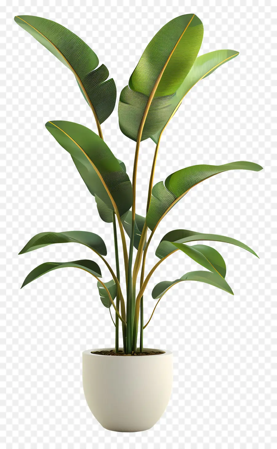 Planta Tropical En Maceta，Planta En Maceta Verde PNG