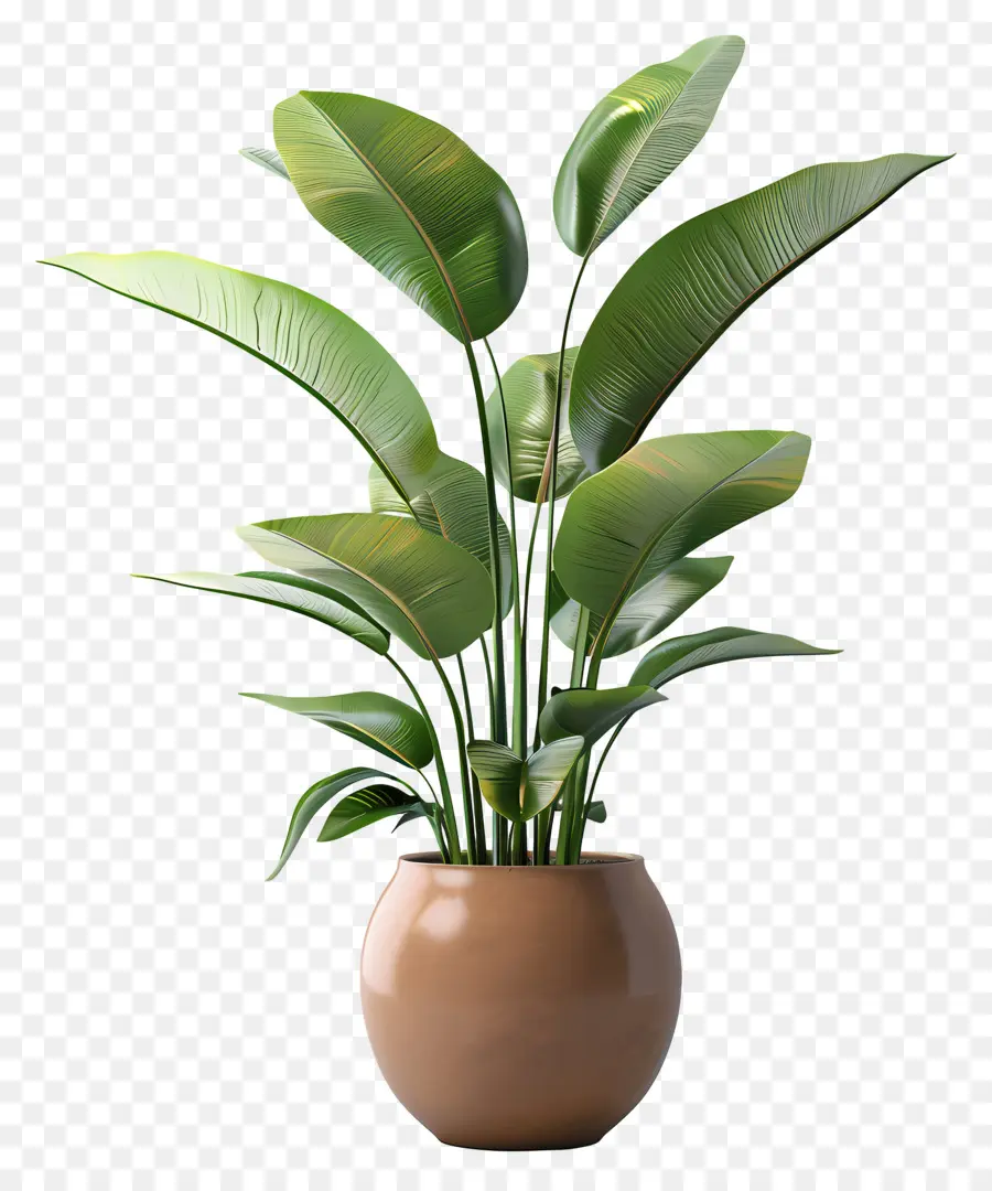 Planta Tropical En Maceta，Planta En Maceta Verde PNG