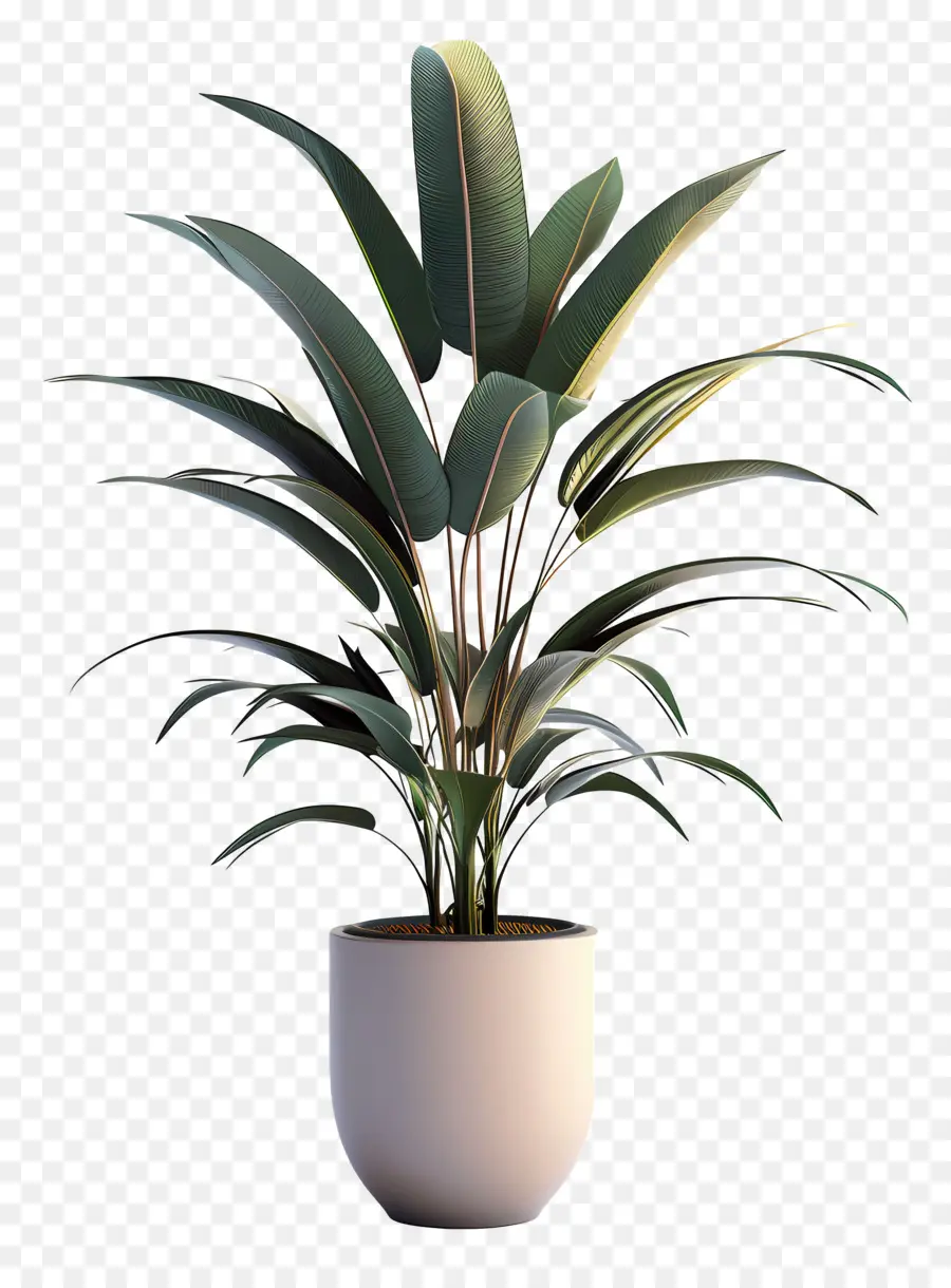 Planta En Maceta，Planta Verde PNG