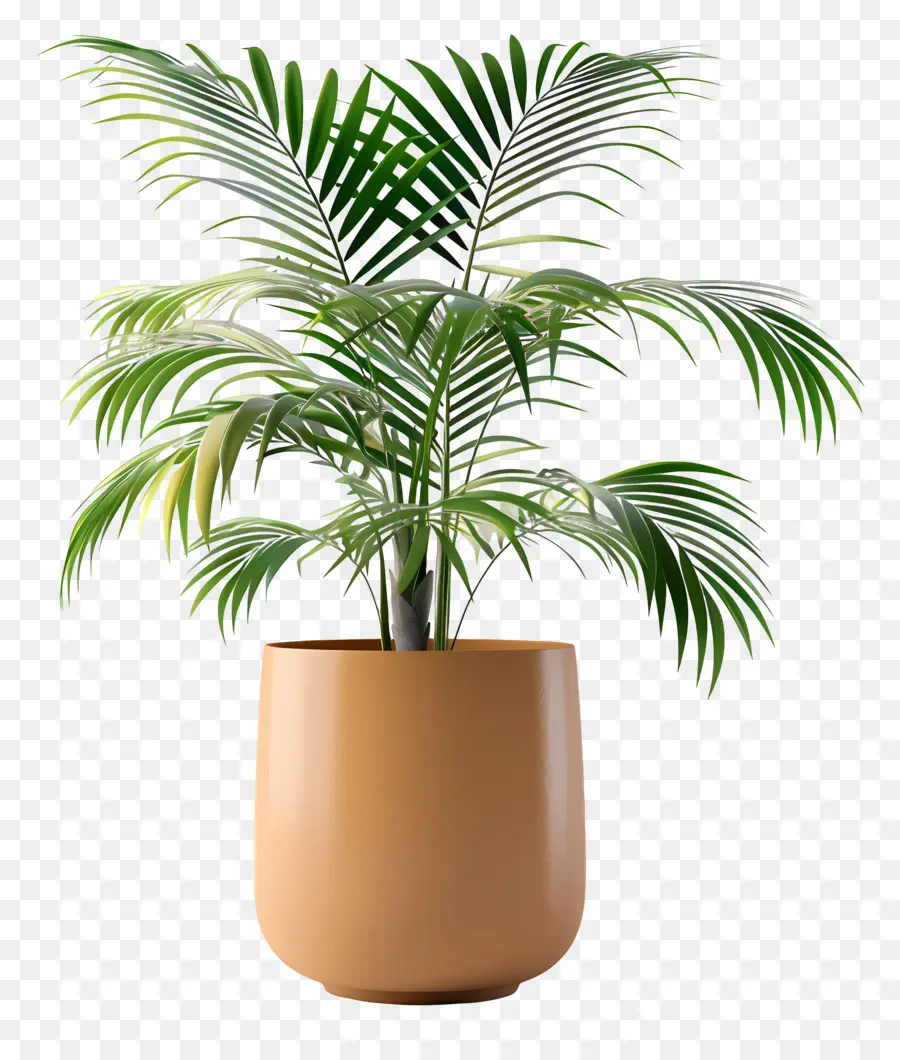 Planta Tropical En Maceta，Planta En Maceta PNG