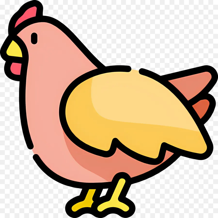 Pollo，Polluelo PNG