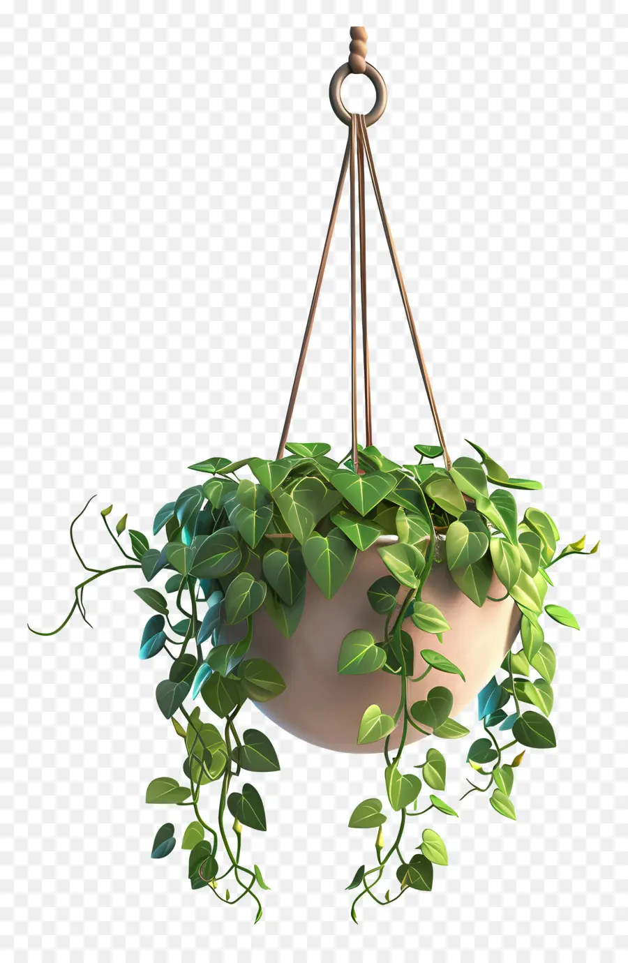 Planta Colgante，Decoración PNG