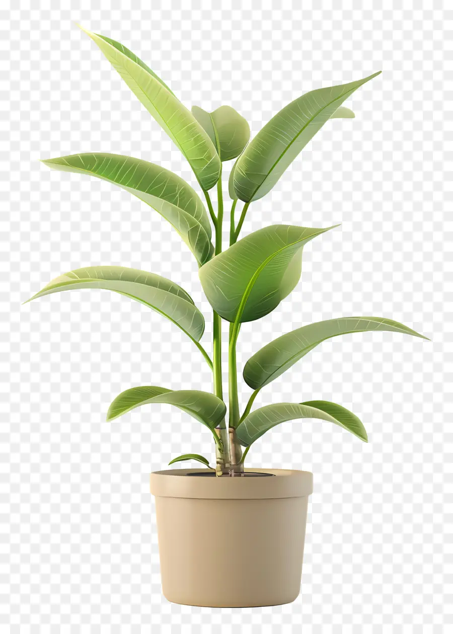 Planta Tropical En Maceta，Planta En Maceta Verde PNG