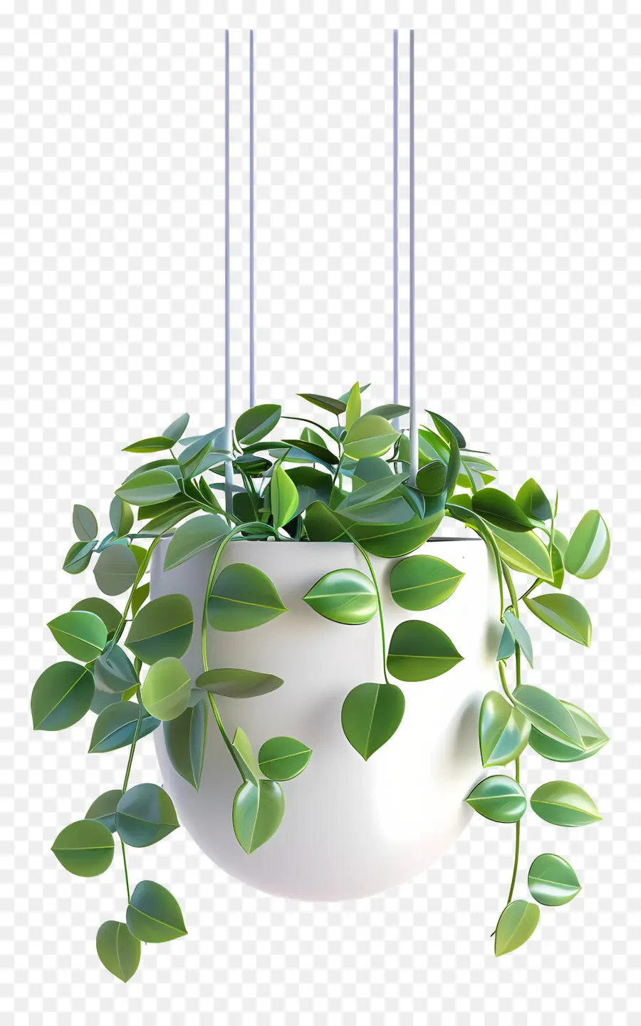 Planta Colgante，Hojas PNG