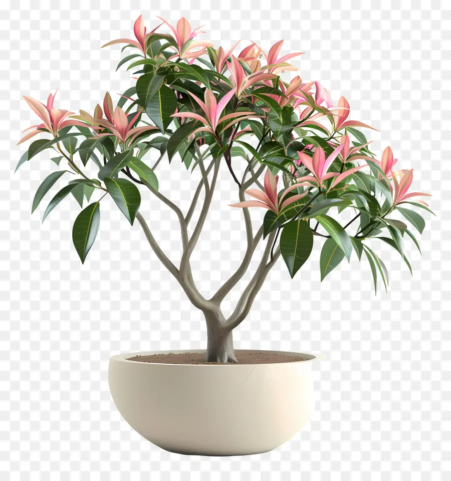 Planta Floreciente En Maceta，Planta En Maceta PNG