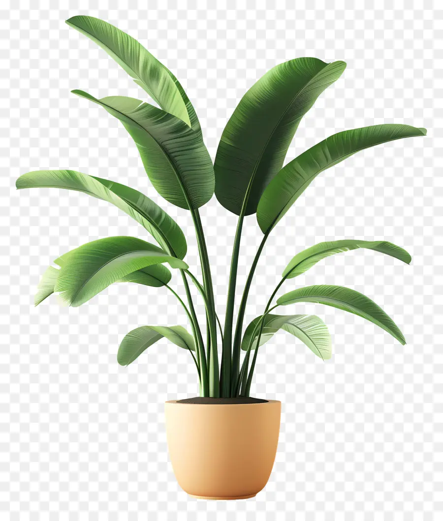 Planta Tropical En Maceta，Planta En Maceta PNG