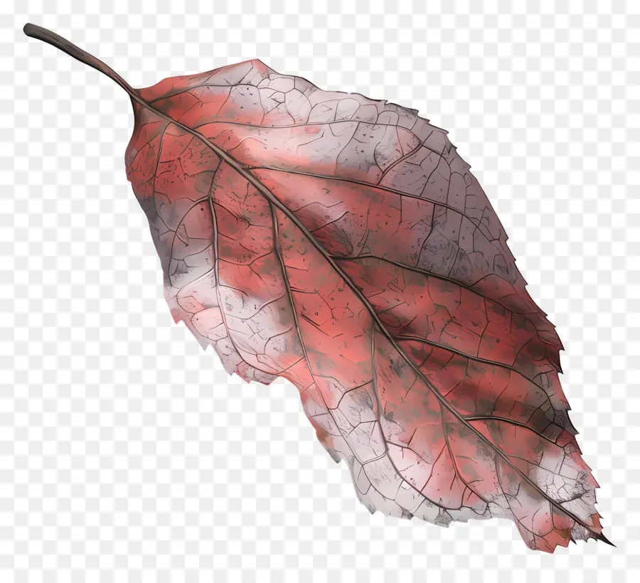 Hoja Muerta，Hoja De Otoño PNG