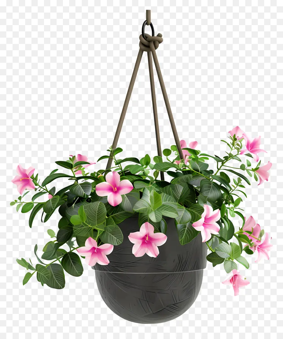 Planta Colgante En Flor，Planta Colgante PNG