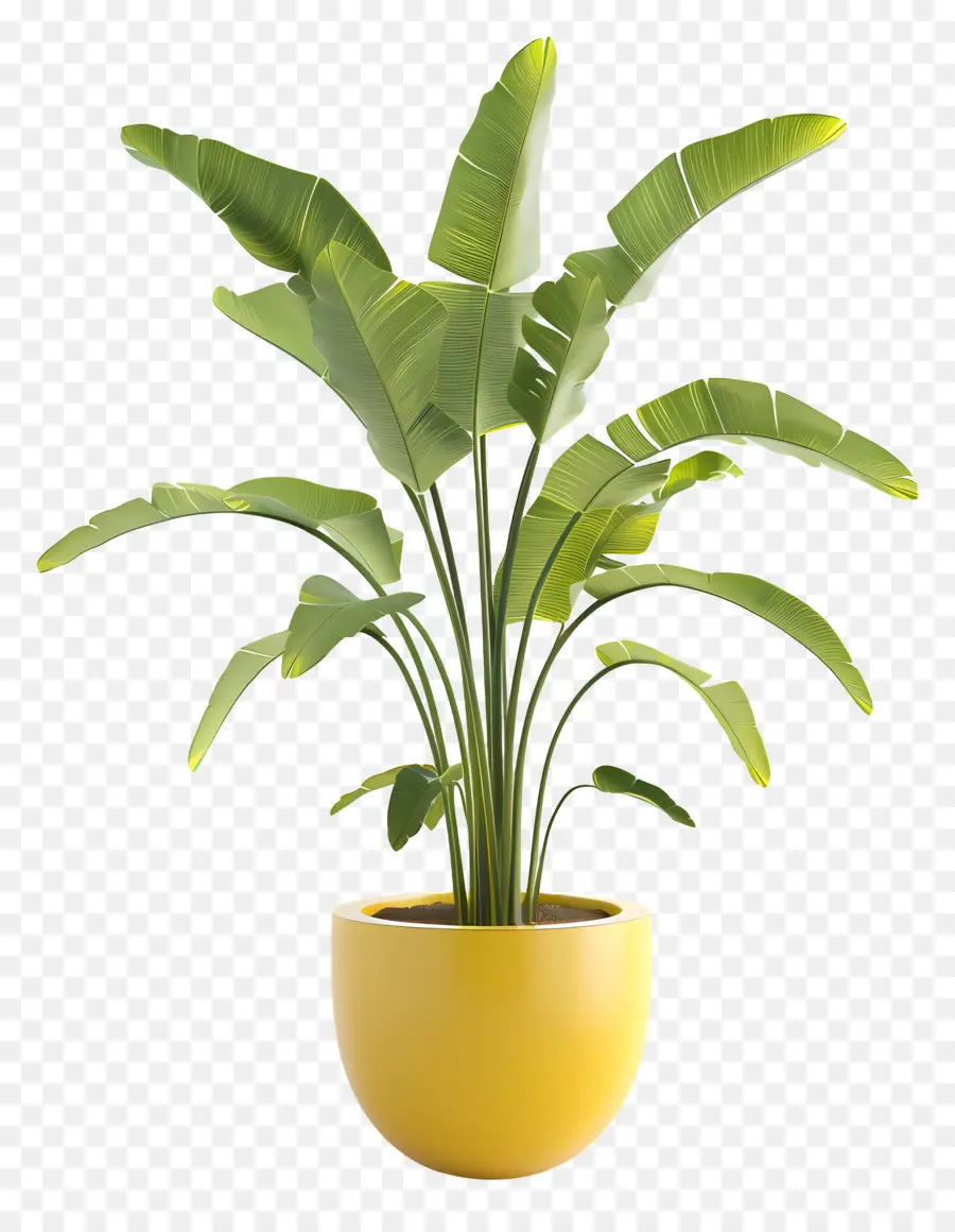 Planta Tropical En Maceta，Planta En Maceta Verde PNG