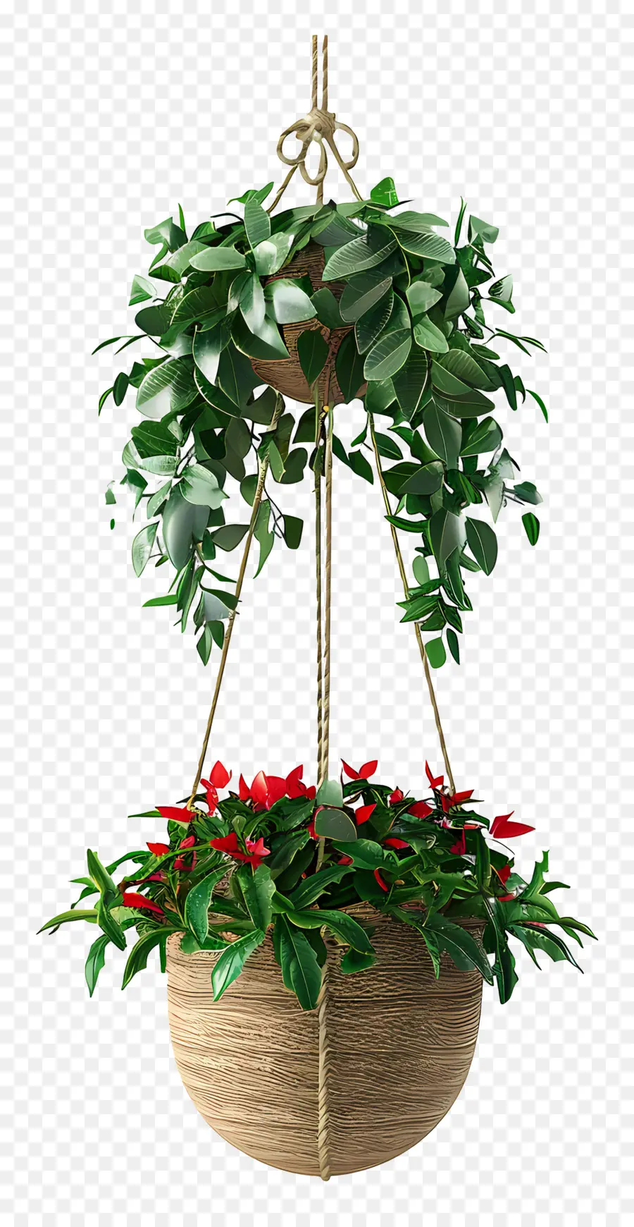 Planta Colgante En Flor，Planta Colgante PNG