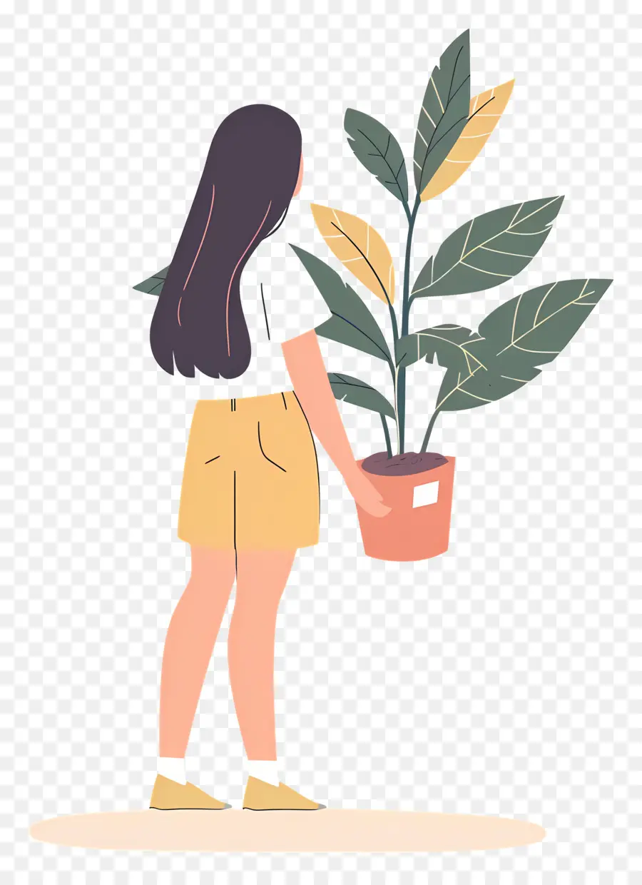 Chica Sujetando Planta De Interior，Niña Con Planta PNG