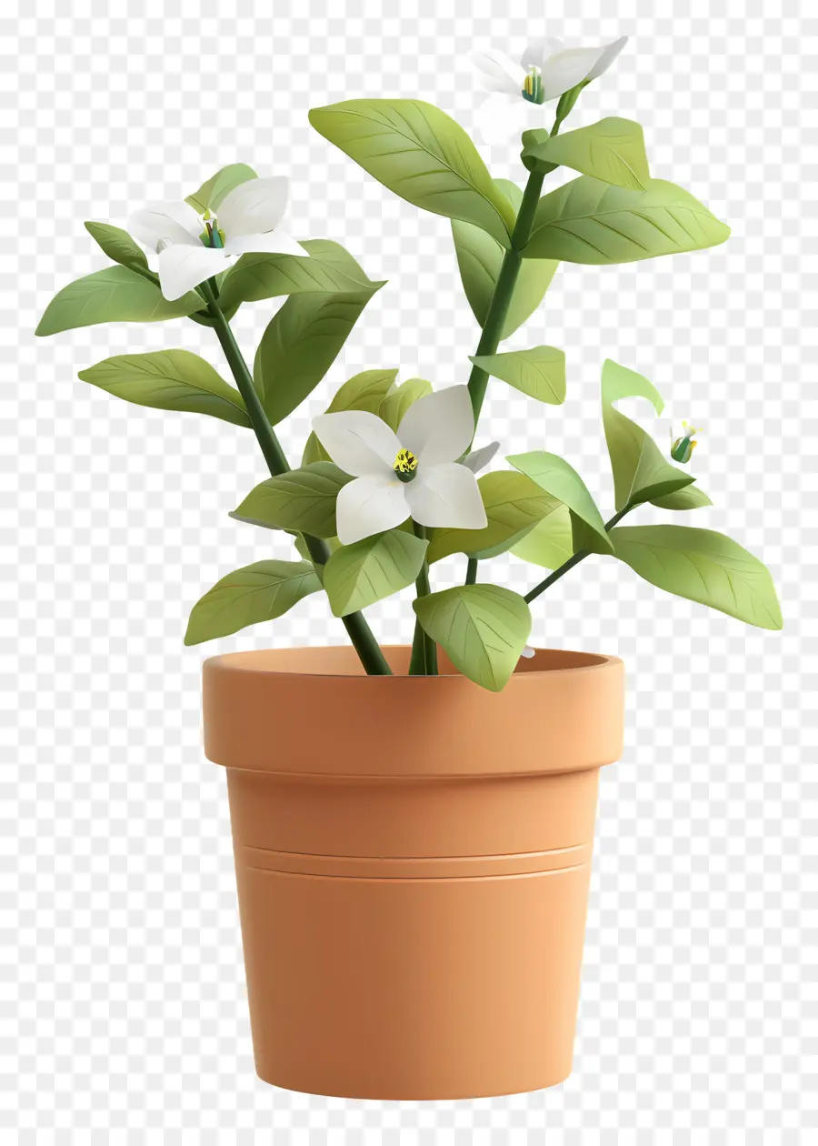 Planta Floreciente En Maceta，Planta En Maceta PNG