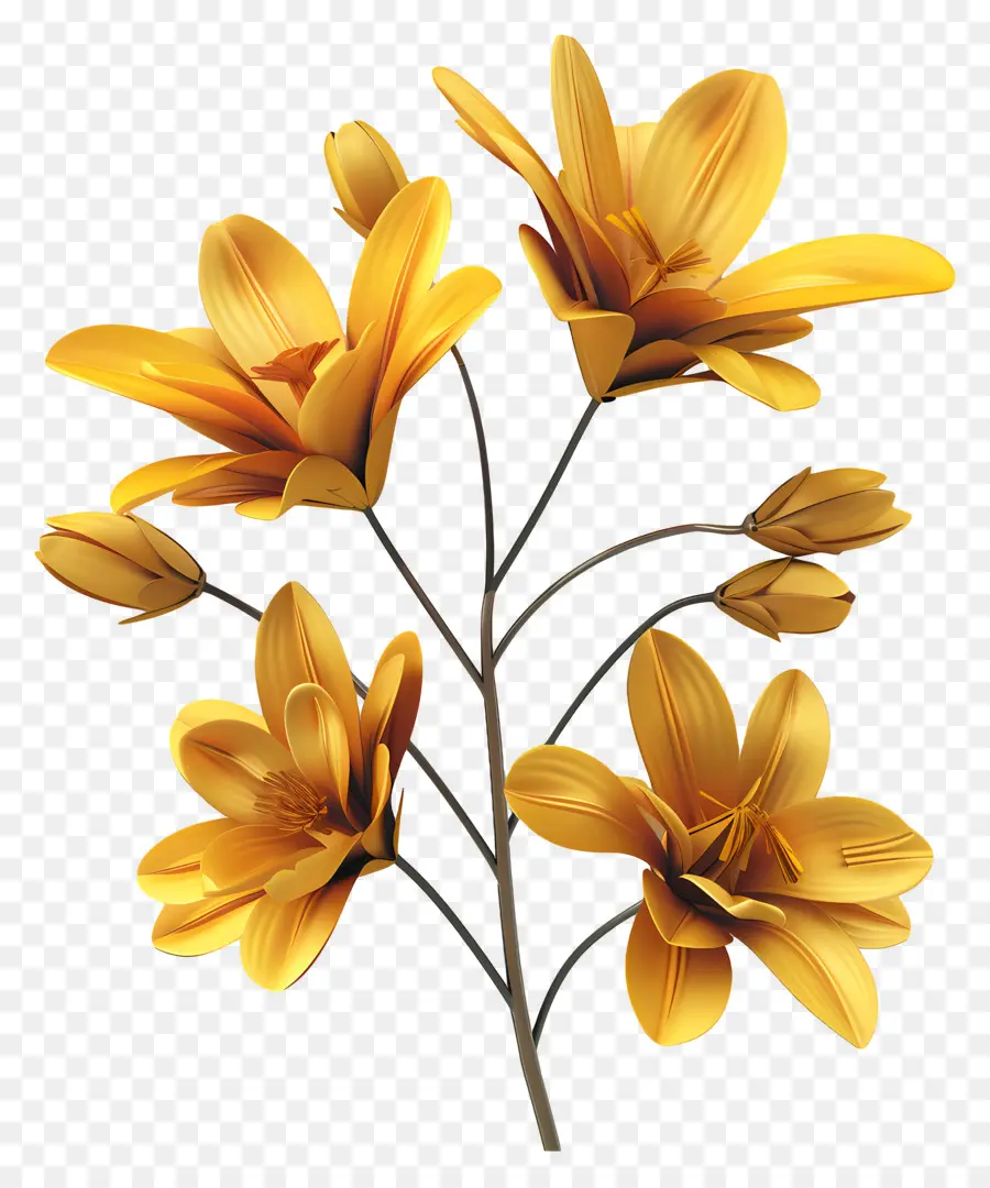 Flores De Azafrán，Flores PNG