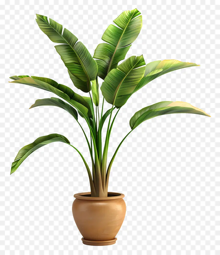 Planta Tropical En Maceta，Planta En Maceta Verde PNG