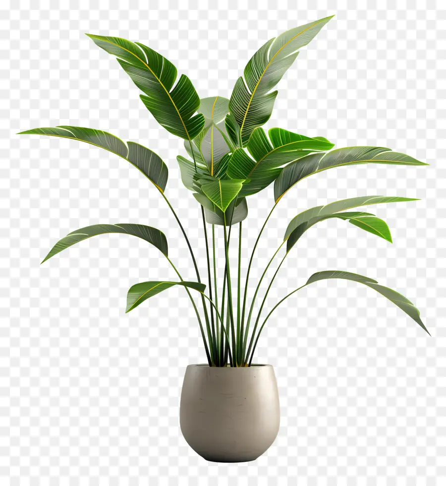 Planta Tropical En Maceta，Planta En Maceta Verde PNG