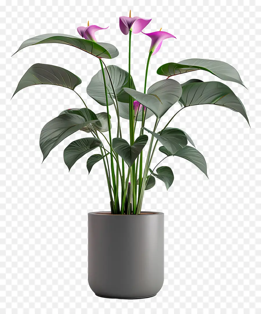 Planta Floreciente En Maceta，Planta En Maceta PNG