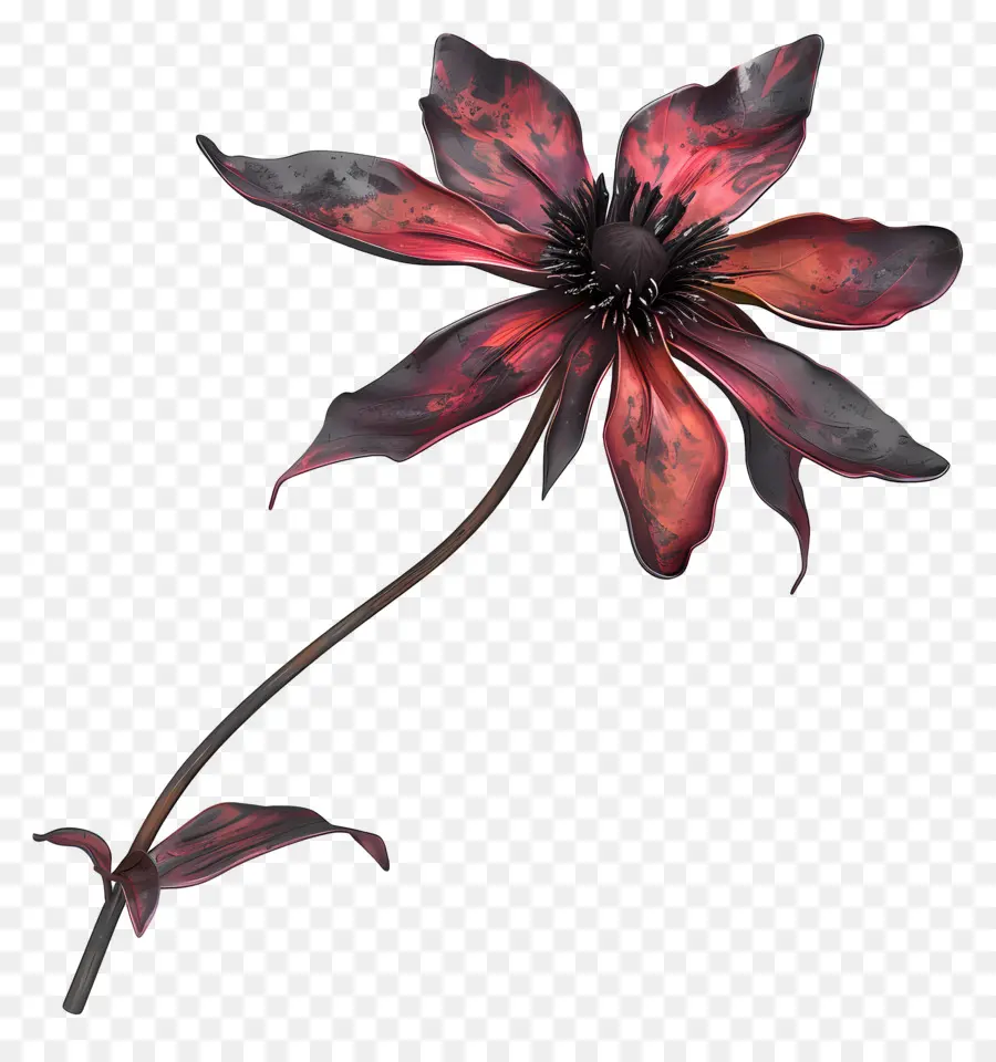 Flor Muerta，Flor Marchita PNG