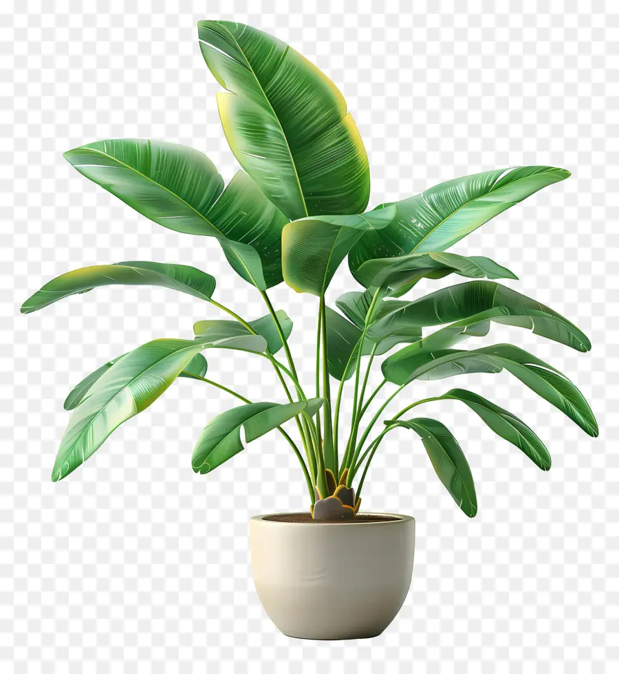 Planta Tropical En Maceta，Planta En Maceta Verde PNG