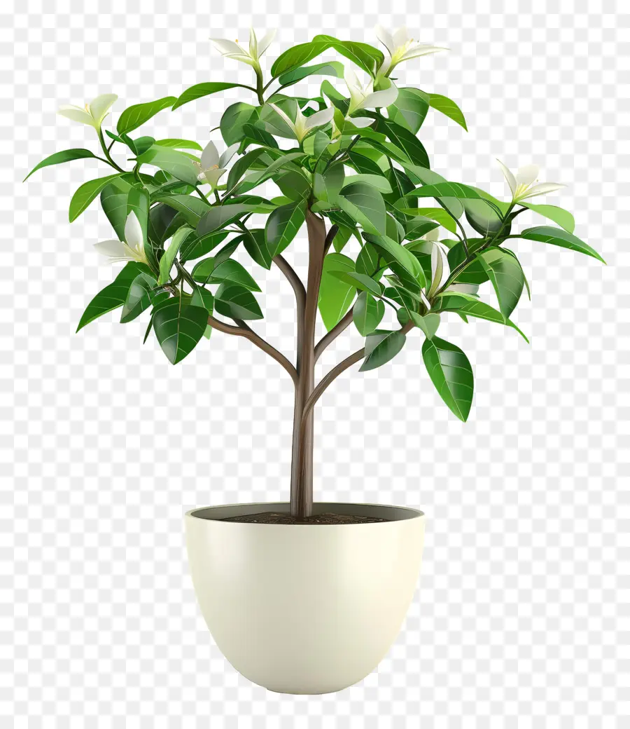 Planta Floreciente En Maceta，Planta En Maceta PNG