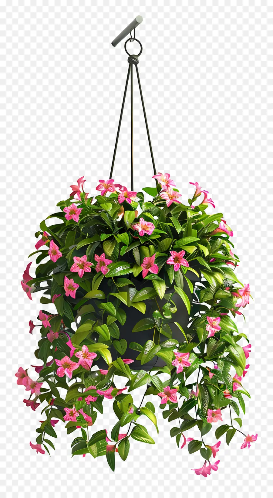 Planta Colgante En Flor，Planta Colgante PNG