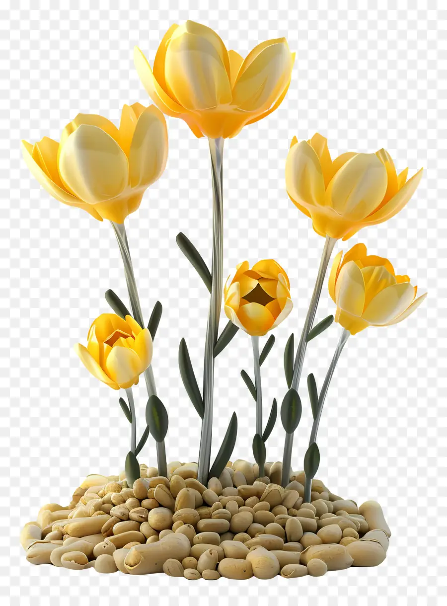 Flores Amarillas，Tulipanes Amarillos PNG