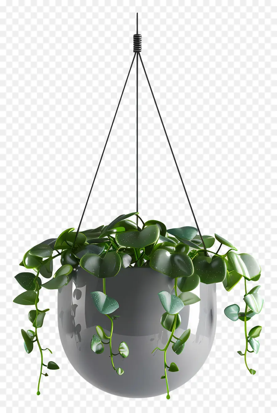 Planta Colgante，Hojas Verdes PNG