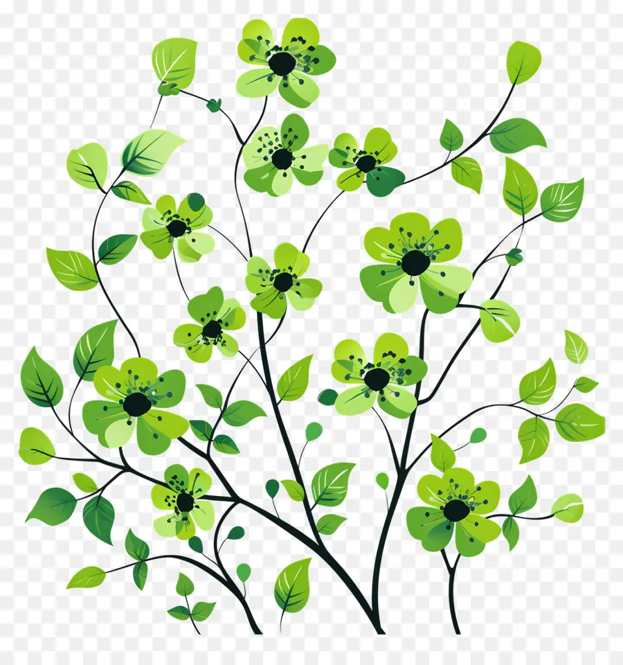 Flores Verdes，Hojas PNG