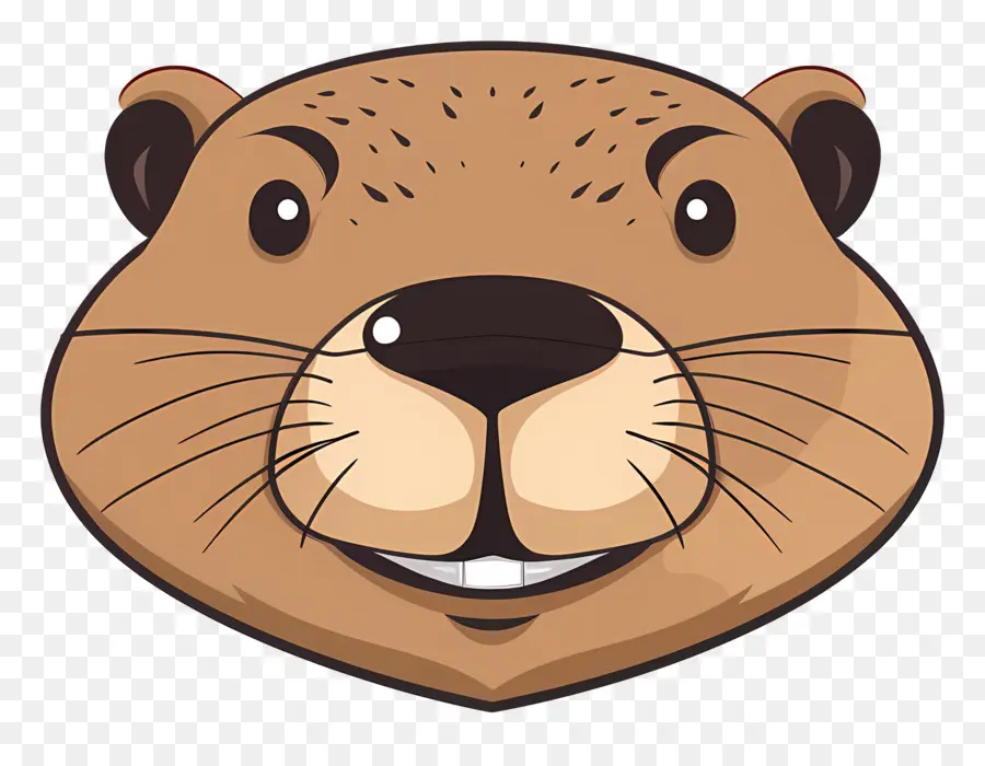 Cara De Castor，Nutria PNG