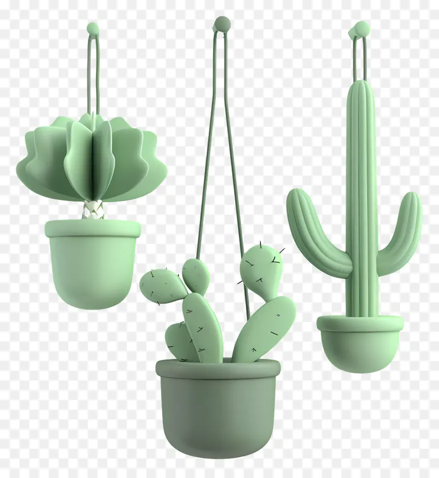 Cactus Colgantes，Plantas Colgantes PNG